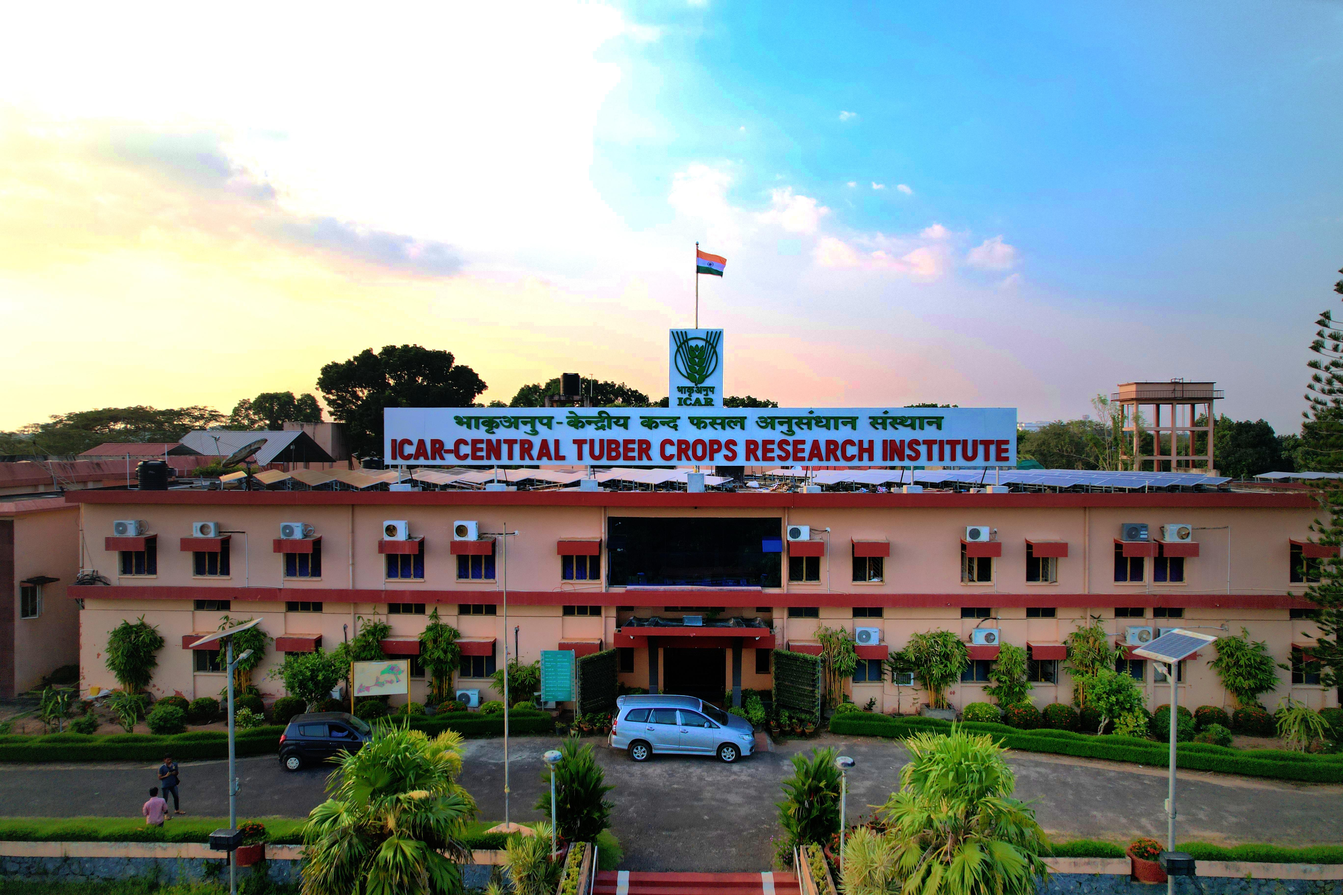ICAR-CTCRI Image