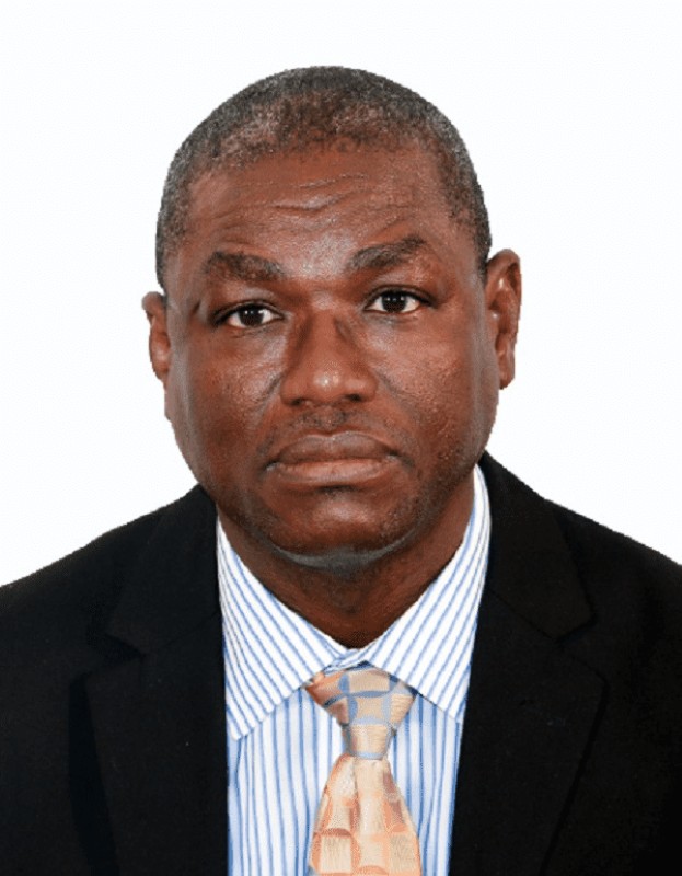 Dr. Emmanuel Okogbenin